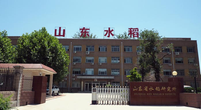 山东省农业科学院湿地农业与生态研究所（山东省水稻研究所）